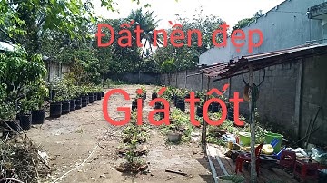 Đất nền cần thơ, giá tốt