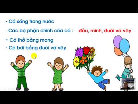 TNXH 1 Tuần 25 Bài Con cá