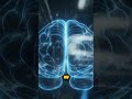 Midjourney AI Art Guide for 2026 Create Stunning Images Easily #shorts
