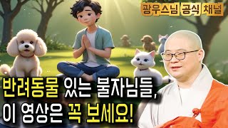 반려동물과 함께하는 불자님들을 위한 중요한 메시지 | 광우스님 부처님과 제자들14회