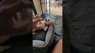 Lychee Officialarijitsingh Your Cutest Fan.