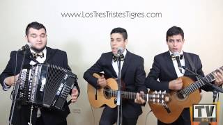 En puro calzón - Los Tres Tristes Tigres chords