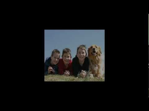 dog-training-|-chilliwack-|-604-556-9966-|-dog-obedience-training
