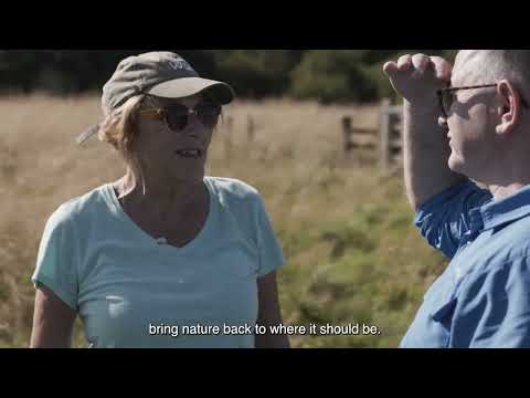 Hadrian's Wall: Recovering Nature (Subtitled)