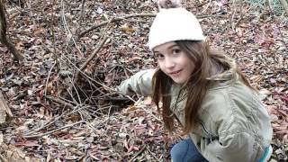 Vojaĝo tra la Vasta Arbaro / Journey through the vast forest