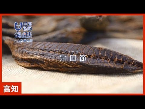 #8 「ウェルカムジョン万カンパニー 田中綾篇さん」篇 CM 15秒｜海と日本PROJECT in 高知県