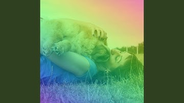 Pulsating Moods for Deep Sleep Puppy