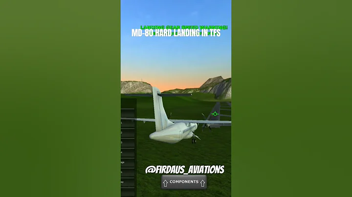 MD-80 Hard Landing in TFS vs Real life #plane #hard #landing #md80 #shorts #viral