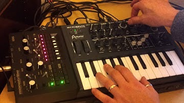 Microbrute Monotribe synced