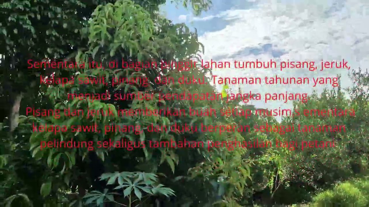 AGROFORESTY