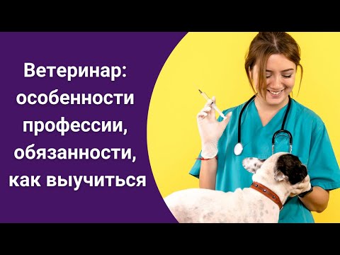 Ветеринар: особенности профессии, обязанности, как выучиться