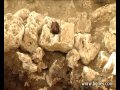 Откриха уникална гробница в Свещари
