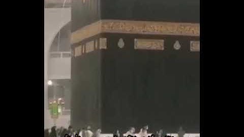 تلاوة خاشعة❤️ القارئ سعيد الخطيب🕋