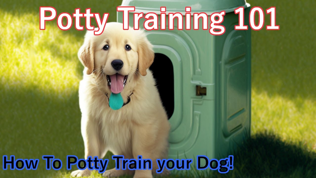 Potty Training 101 A StepbyStep Guide for New Dog Owners Tutorial