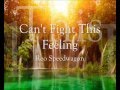 Can&#39;t Fight This Feeling Reo Speedwagon Lyrics