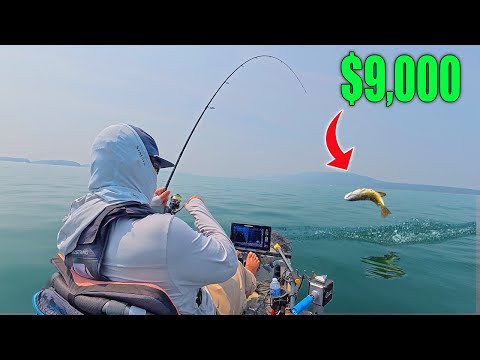 My BIGGEST Kayak Fishing Tournament WIN! (Lake Champlain)