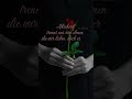 Mein Beileid | Trauerspruch zum Abschied nehmen | Verbindung unserer Seelen #trauer #abschied Mp3 Song