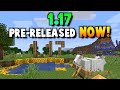 Minecraft 1.17 IS ALMOST HERE - Release Date