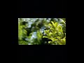 DIY bokeh filter kamera dslr