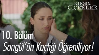 Songül'ün kaçtığı öğreniliyor! - Kırgın Çiçekler 10. Bölüm