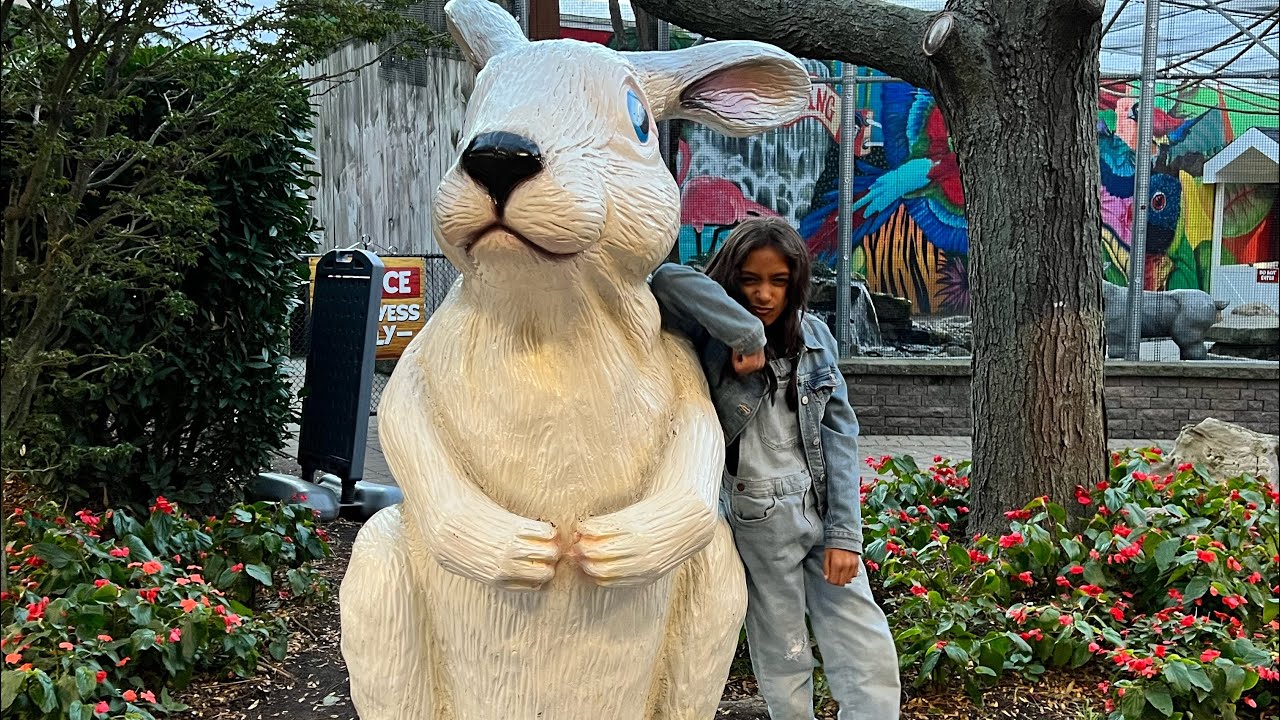 White Post Farms🦓 Kids interact w/ animals in Long Island, New York