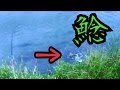 ナマズ釣り ルアーはホッグ系ワームのオフセットジグヘッド