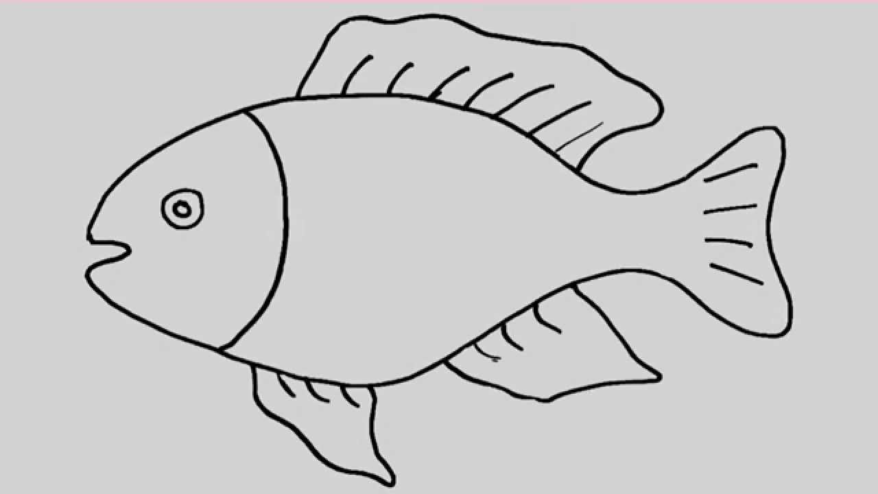 outline drawings of fish