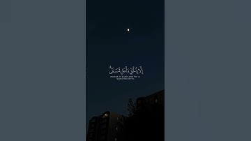 الشيخ ياسر الدوسري | سوره الروم | #قرآن #قران_كريم