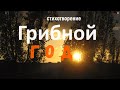 / Грибной год / видео стихи о прелестях жизни