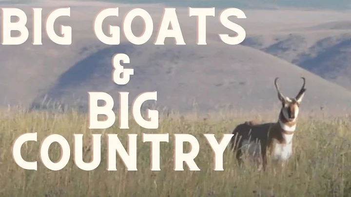 BIG GOATS & BIG COUNTRY | Montana Archery Antelope
