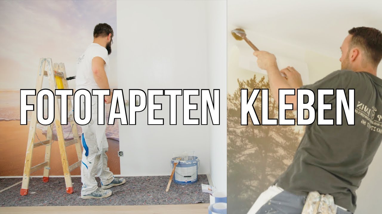 Fototapeten kleben - Wald- und Strandmotiv🌲🏝