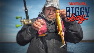 BIGGY BOY в деле! | Андрей Чуланов о новых приманках от Narval Fishing