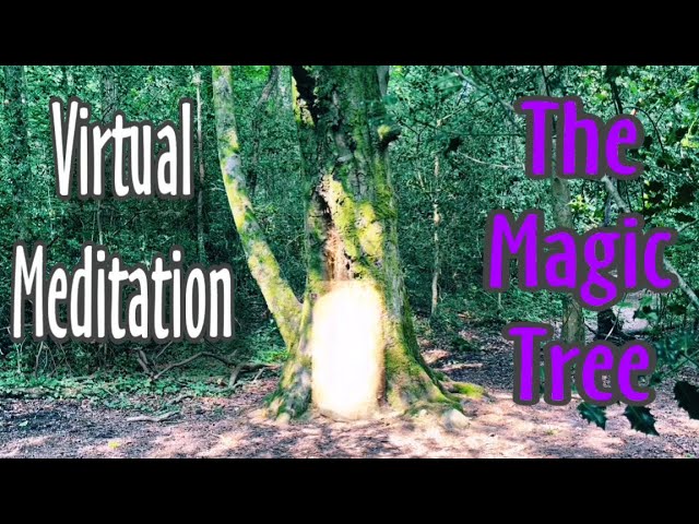 THE MAGIC TREE 🌳 | Meditation Space | ASMR ✨💤