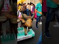 Viva carnival 2024 margao goa art  carnival trending shorts viral