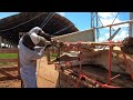 CASQUEANDO AS NOSSAS VACAS, TEVE QUE ARRUMAR O TAMANCO!!