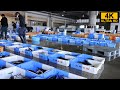 水揚げからセリまで！魚市場の一日をご紹介（地方卸売市場）