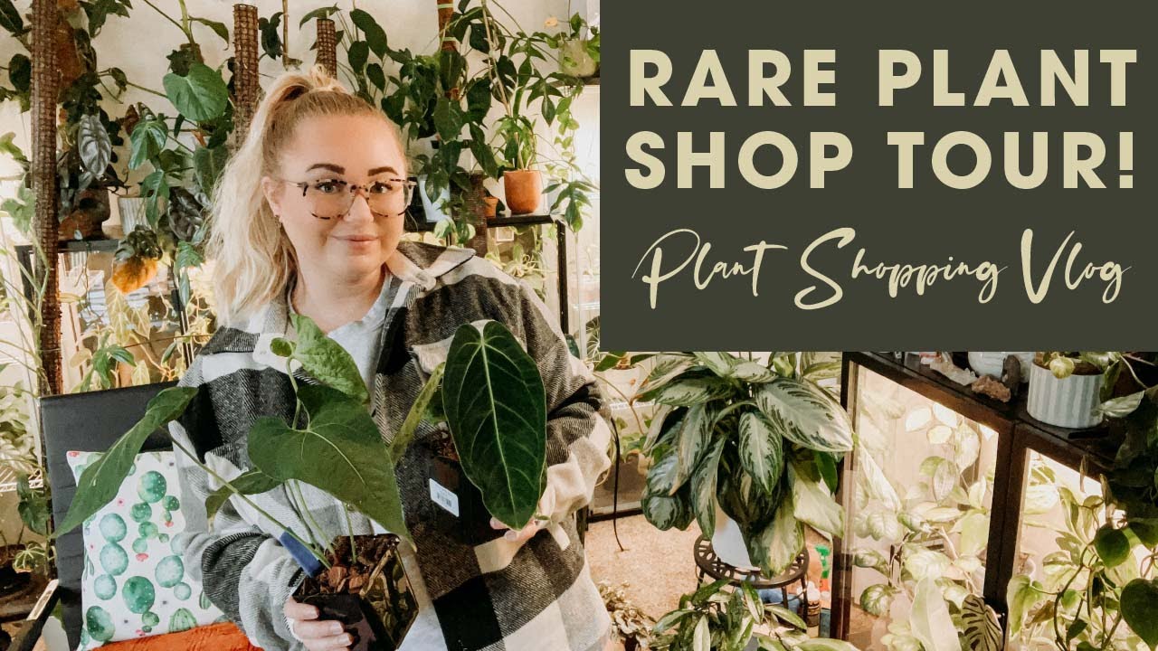 Overflowing Rare Plant Shop Tour! Rare and Plants Lost in