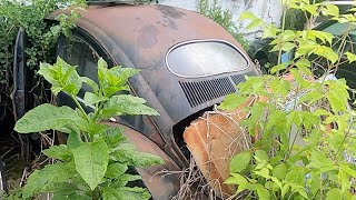 Abandoned Rare 1955 Vw Beetle Found - First Drive 2110cc Buggy