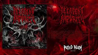 Decadent Impurity - Abyssal Extermination