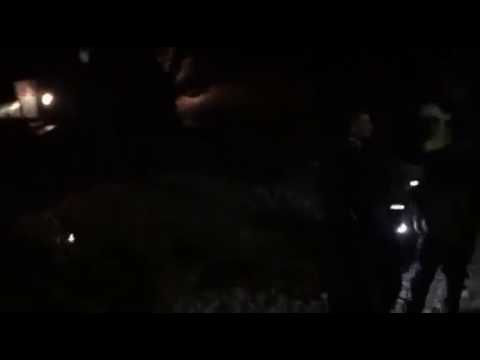 ზუგდიდი-თბილისის ღამის მატარებელი სტიქიის მიუხედავად თბილისისკენ დაიძრა