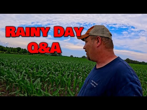 We Got Soaked Again!  Rainy Day Q &amp; A