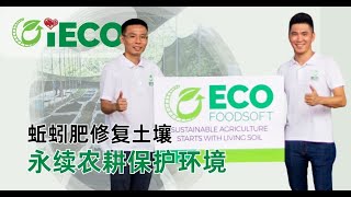 蚯蚓肥修复土壤  永续农耕保护环境