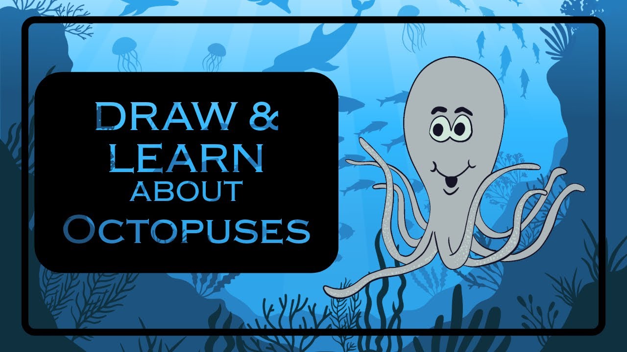 Draw & Learn Facts about Octopuses - Procreate Art | Miro’s Art
