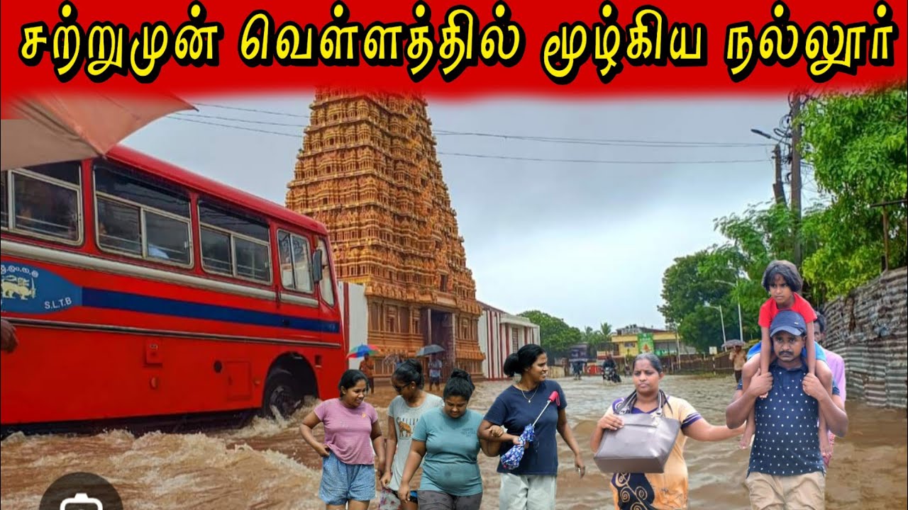 சற்று முன் வெள்ளத்தில் மூழ்கிய நல்லூர்மழையில் பிடிபட்ட லட்சக்கணக்கான மீன்கள் 🫢🫢