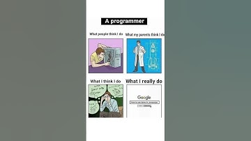 Programmer