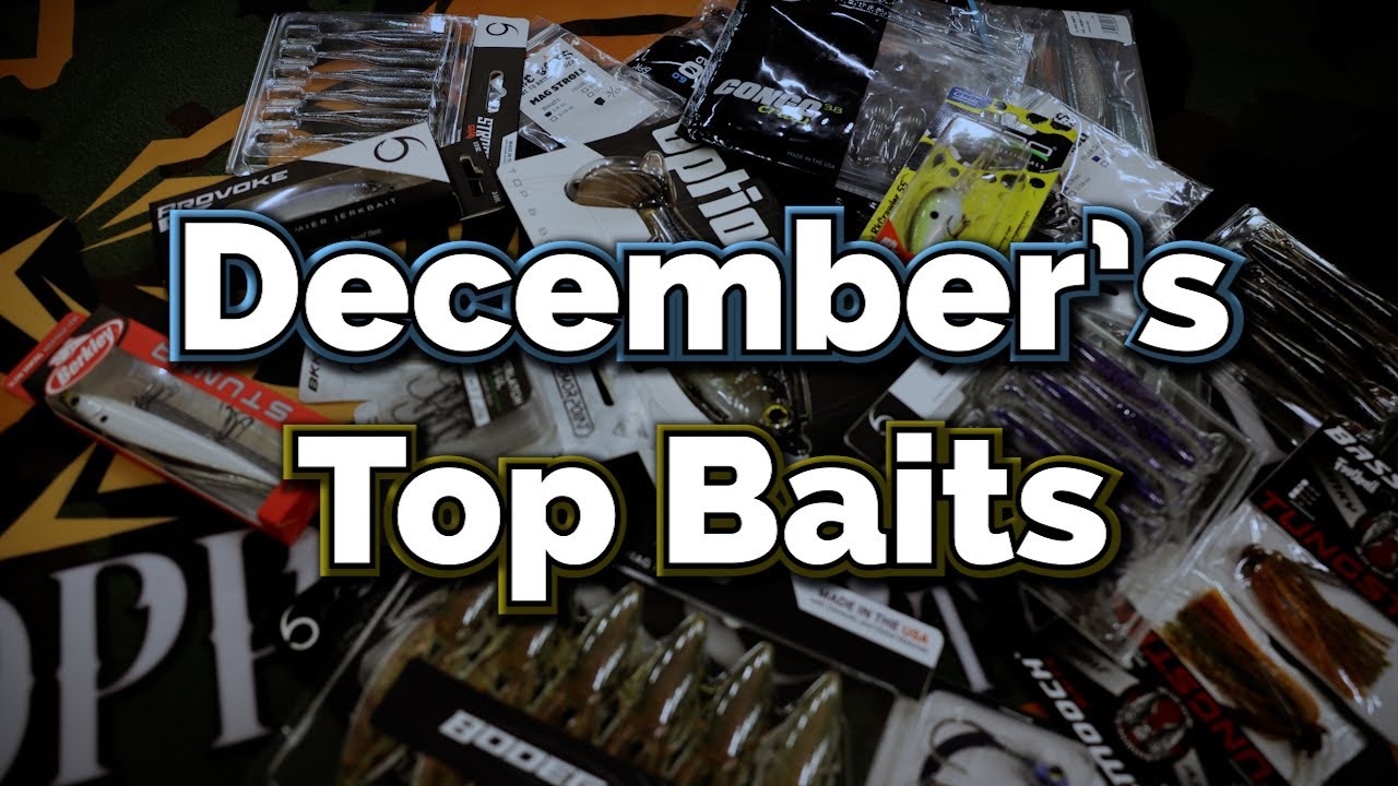 December Top Baits for Winter Bass