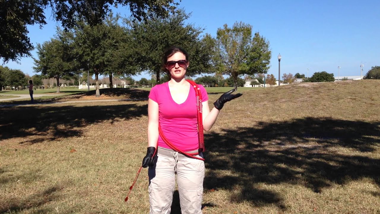 Scarlett's Latest Works in Progress