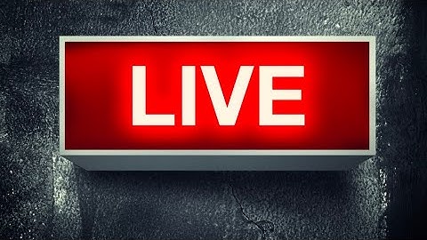 Snake Puzzle Slither To Eat All Levels 1-50 Walkthrough | Full Puzzle Game Solution