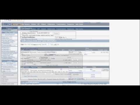 Direct File Your Customs Entries In-House with TRG Direct