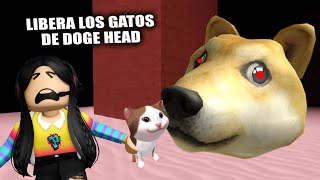 COMO PASAR Doge Head Escape ROBLOX | GUIA ACTUALIZADA